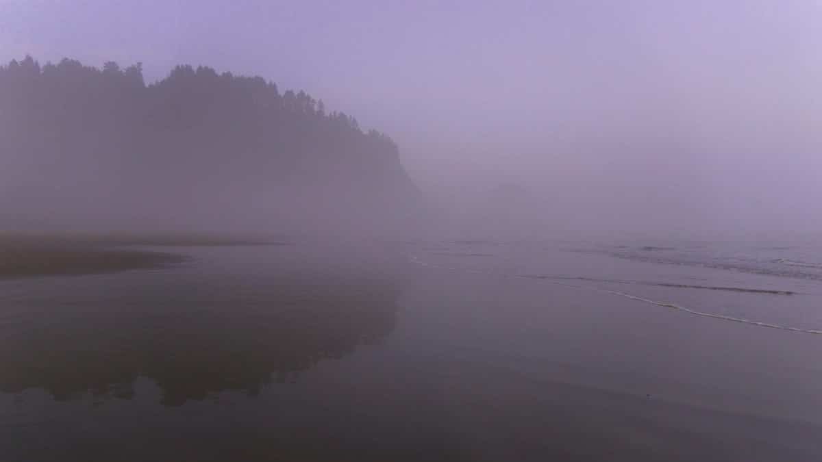A foggy and serene morning view of the coast at Arch Cape, Oregon.