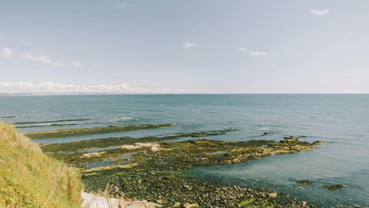 Grassy stone with pebbles washed by endless water of sea with horizon line against blue sky in nature on summer day