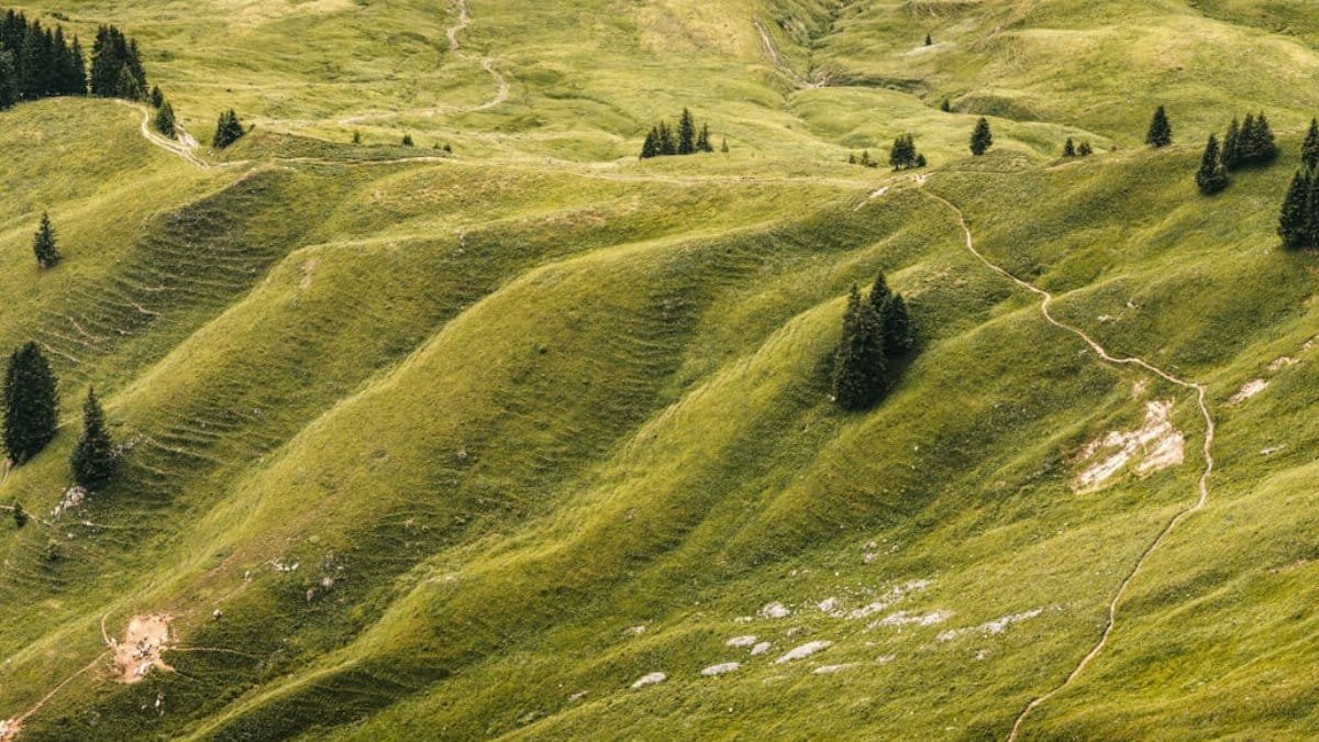 Beautiful aerial capture of green rolling hills and dense forest with hiking trails.