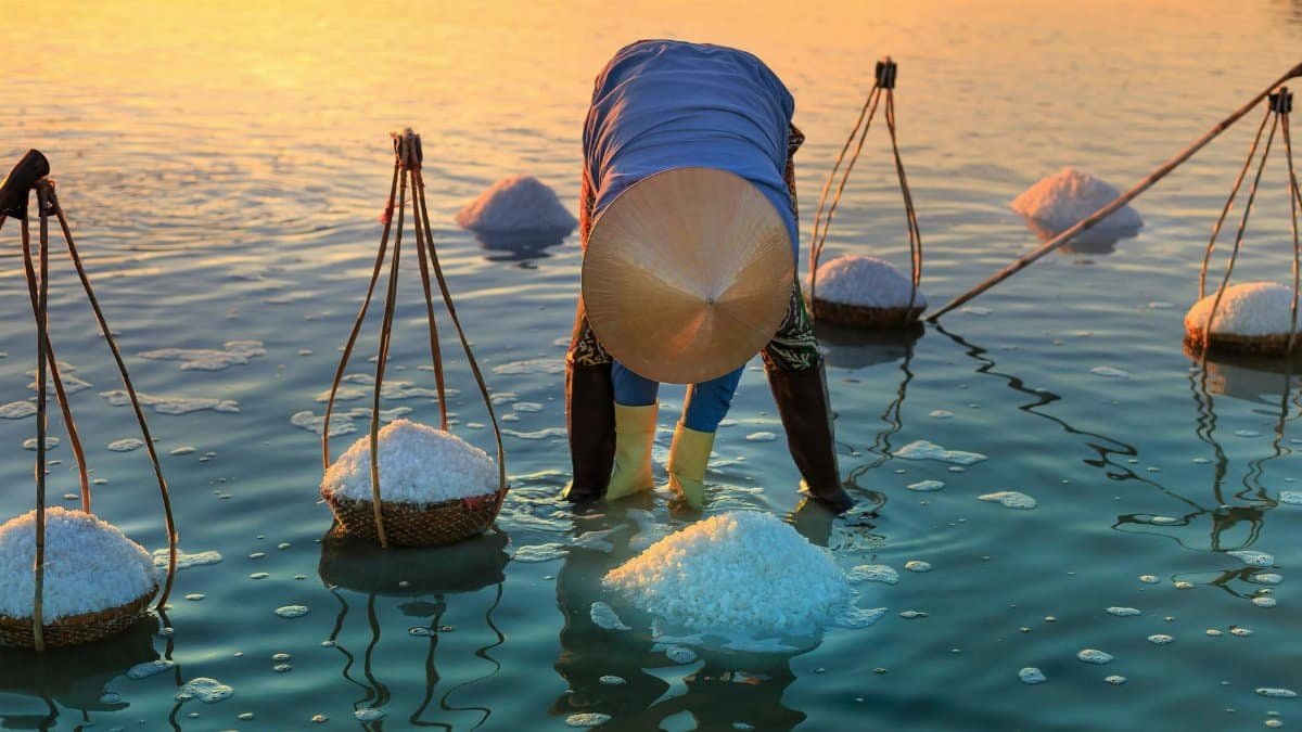 A person harvesting salt in shallow waters at sunset, wearing a conical hat.