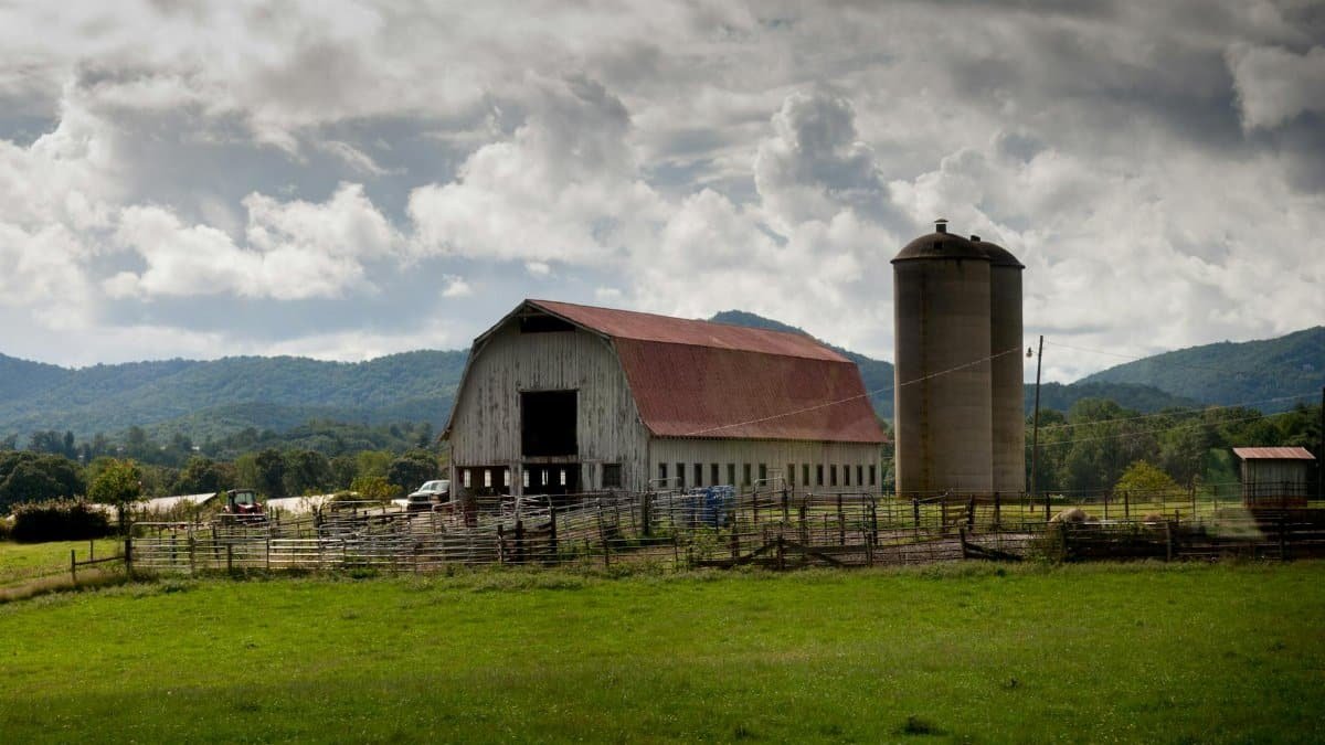 A picturesque barn and silo in Asheville's rural landscape, nestled among rolling hills and lush fields.