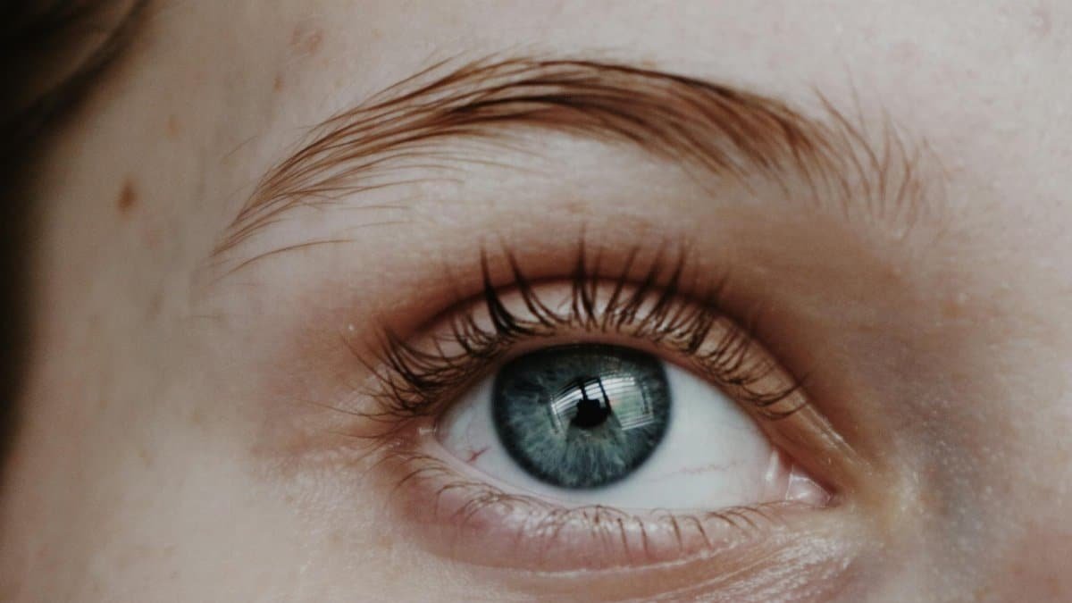 Detailed close-up shot of a blue eye with natural eyelashes and eyebrow, showcasing vivid detail and clarity.