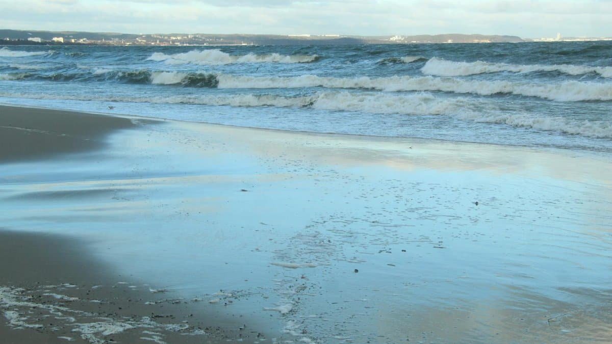 Peaceful ocean waves on a sandy beach at dawn, reflecting the clear sky.