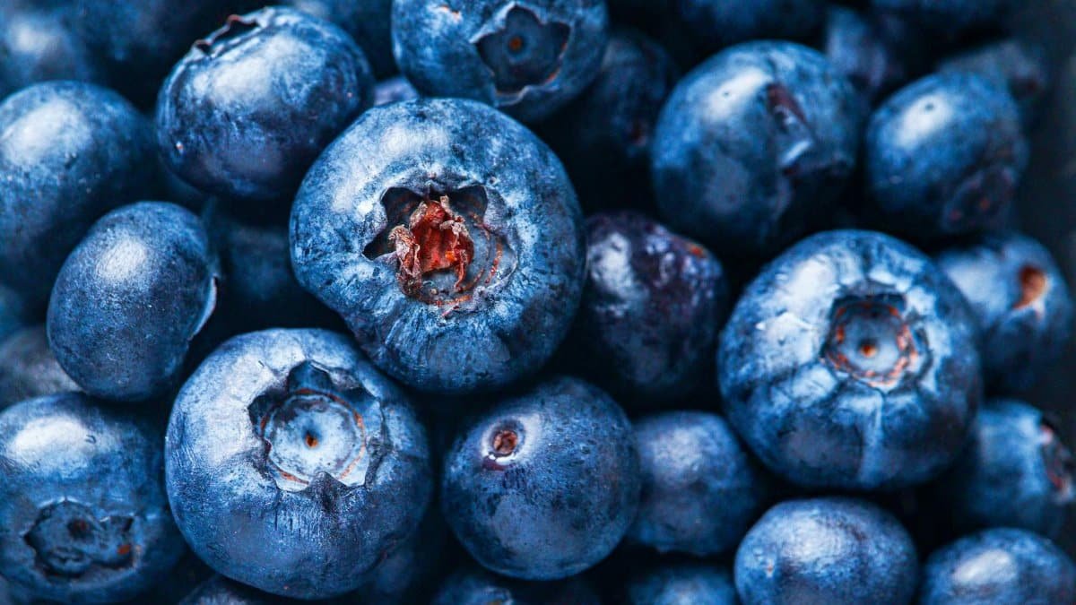 A vibrant close-up of fresh blueberries, showcasing their natural color and texture.