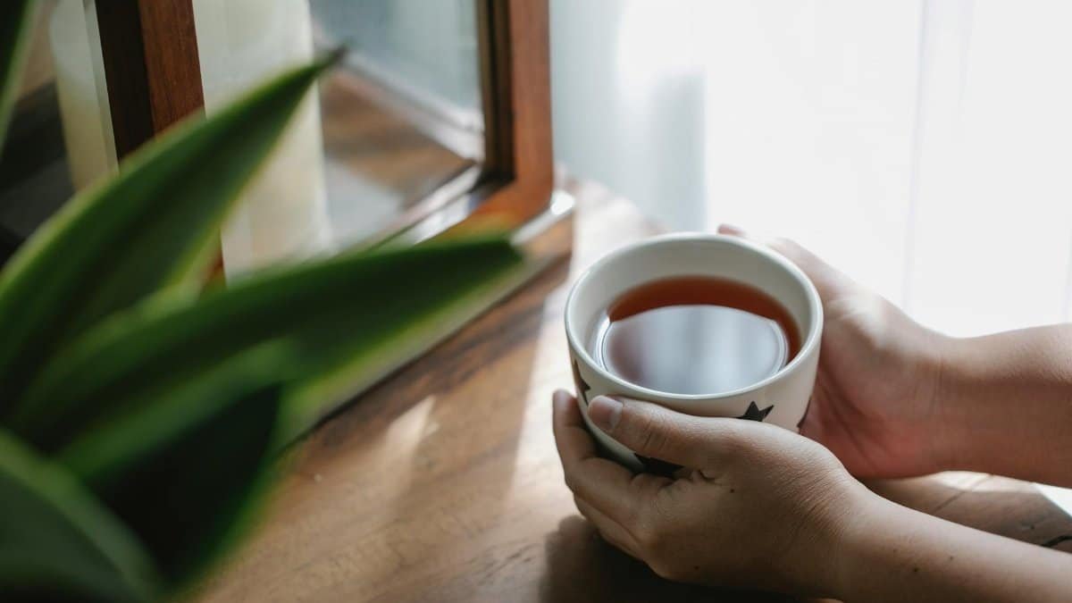 A warm cup of herbal tea held by hands near a window, exuding coziness and relaxation.