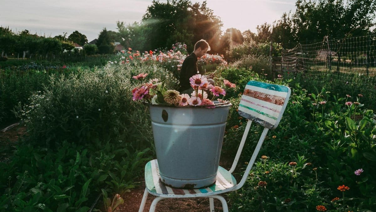 A man gardening with vibrant flowers in a metal bucket, enjoying a sunny day.