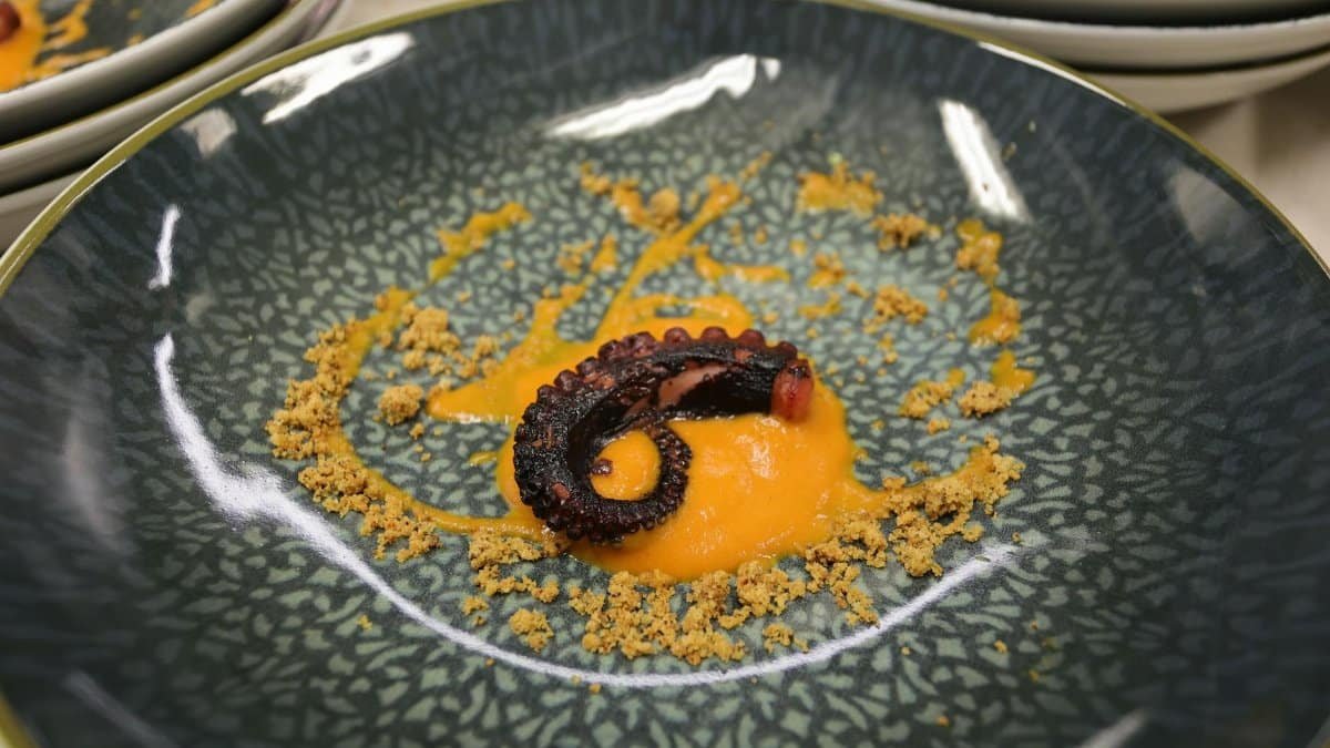 Elegant octopus tentacle on a ceramic plate with orange sauce and breadcrumbs, showcasing gourmet cuisine.
