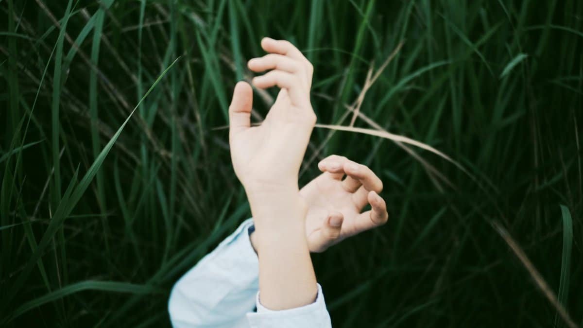 A pair of hands gracefully positioned among tall green grass conveying a sense of tranquility.