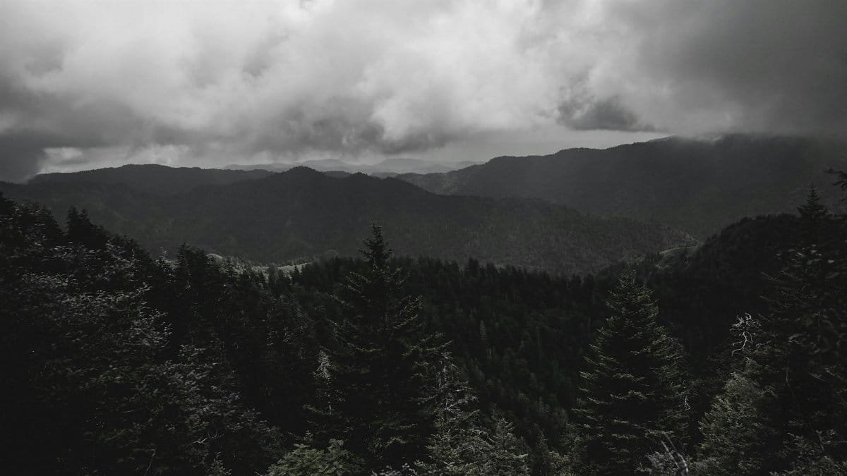 Moody view of the fog-covered Smoky Mountains in Tennessee, showcasing dense forests and dramatic clouds.