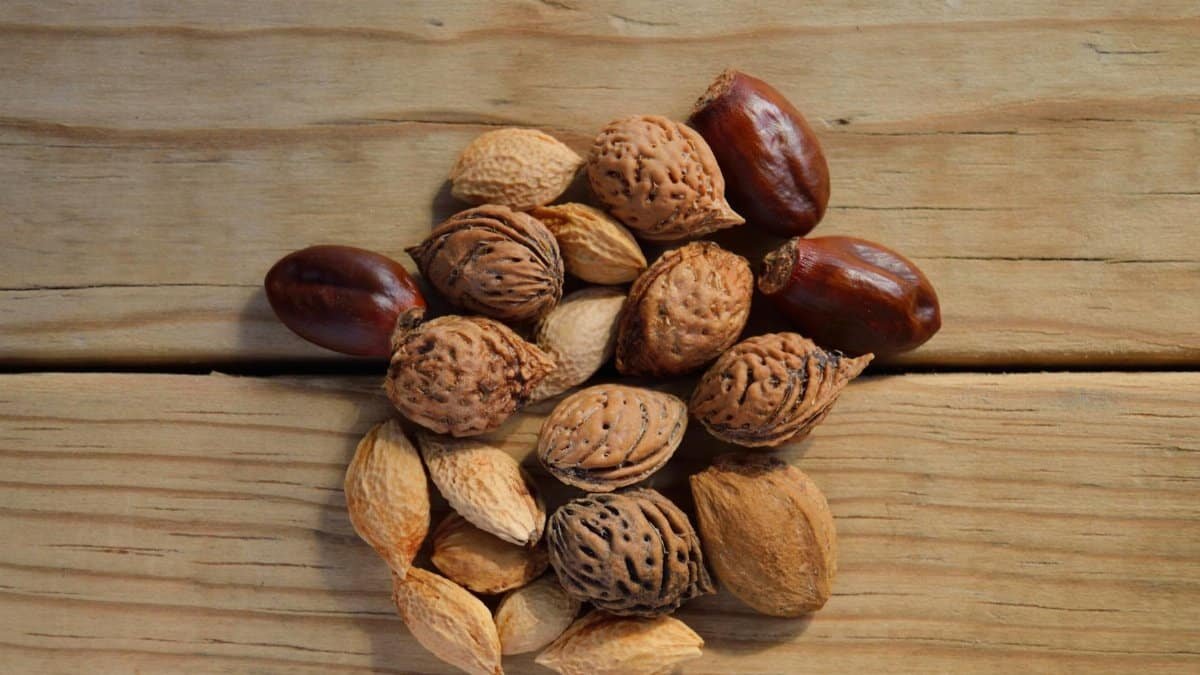 Close-up of assorted nuts and seeds on a rustic wooden table.