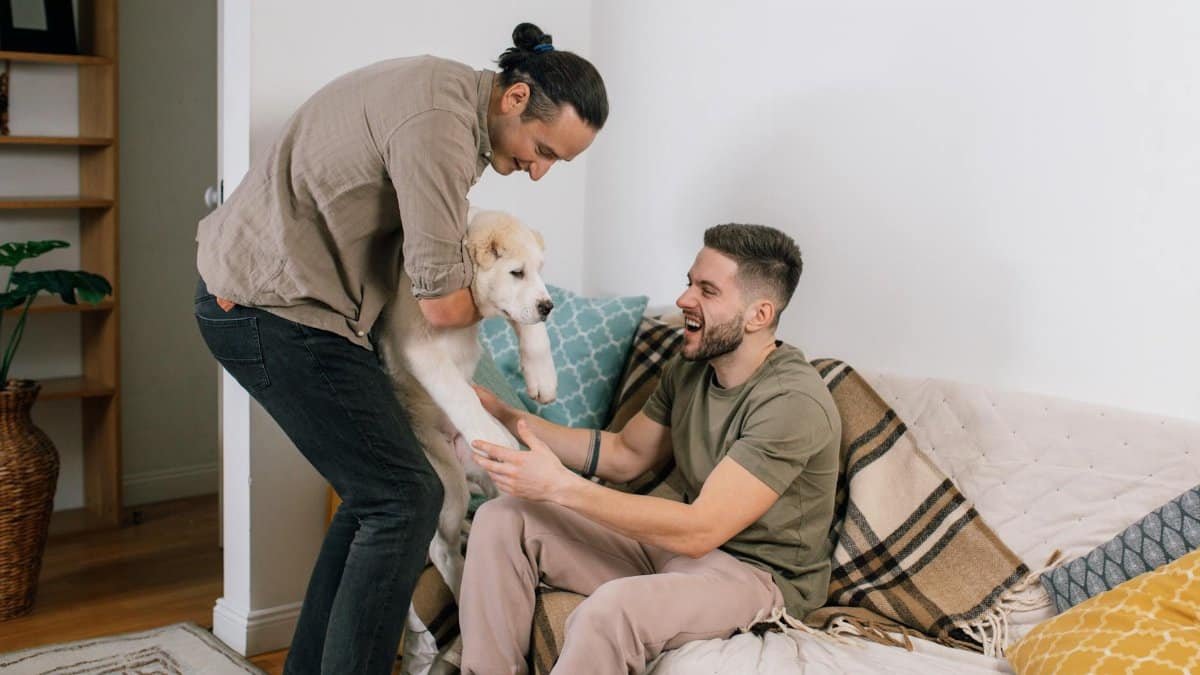 Two adults smiling and enjoying time with a playful puppy in a cozy home setting.