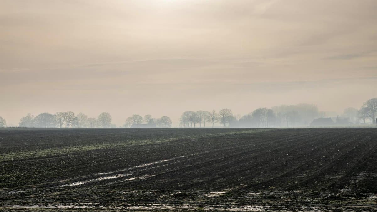 A serene sunrise over a plowed field with misty trees in the background, capturing the calm rural landscape.