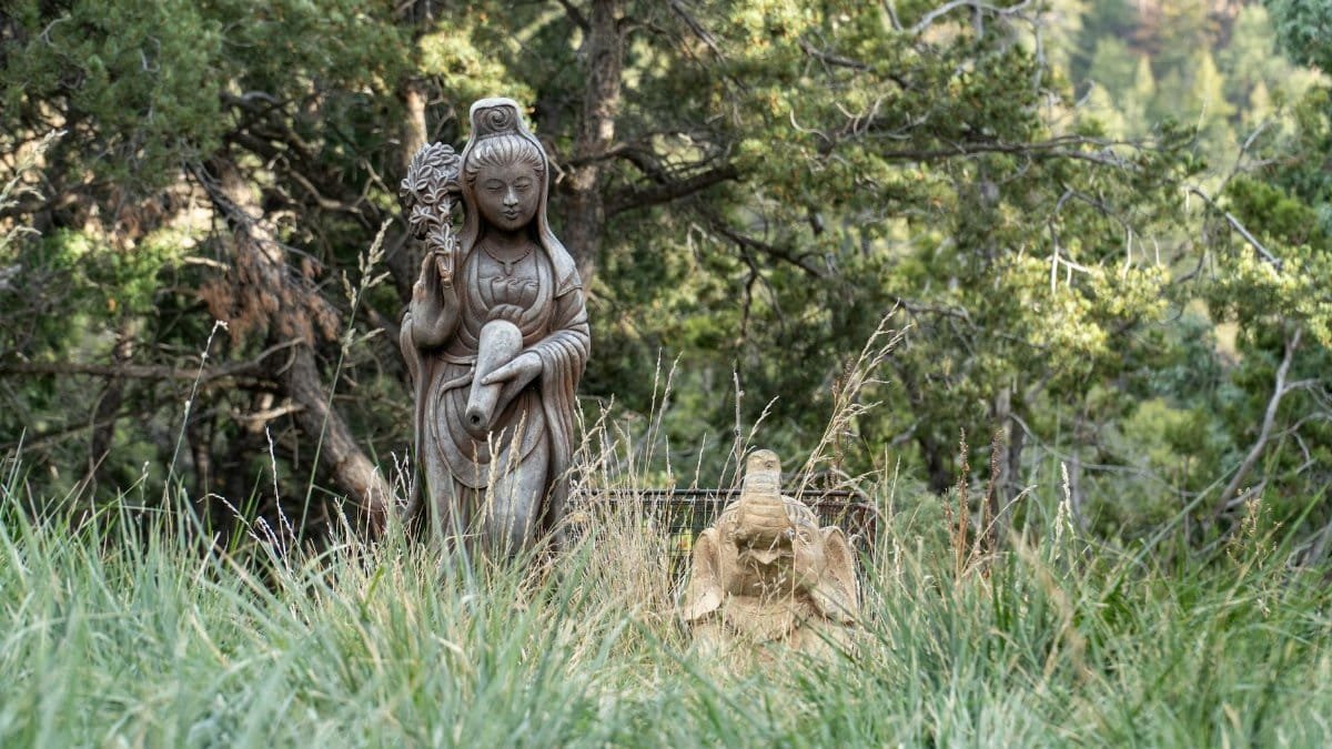 Free stock photo of kateri tekakwitha, new mexico, santa fe