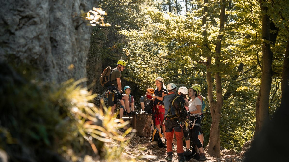 Group of climbers with gear discussing strategy on a forest trail in Bavaria.