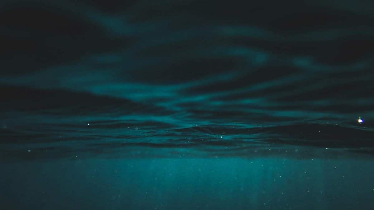 Captivating underwater ocean view with deep blue hues and serene ambiance.