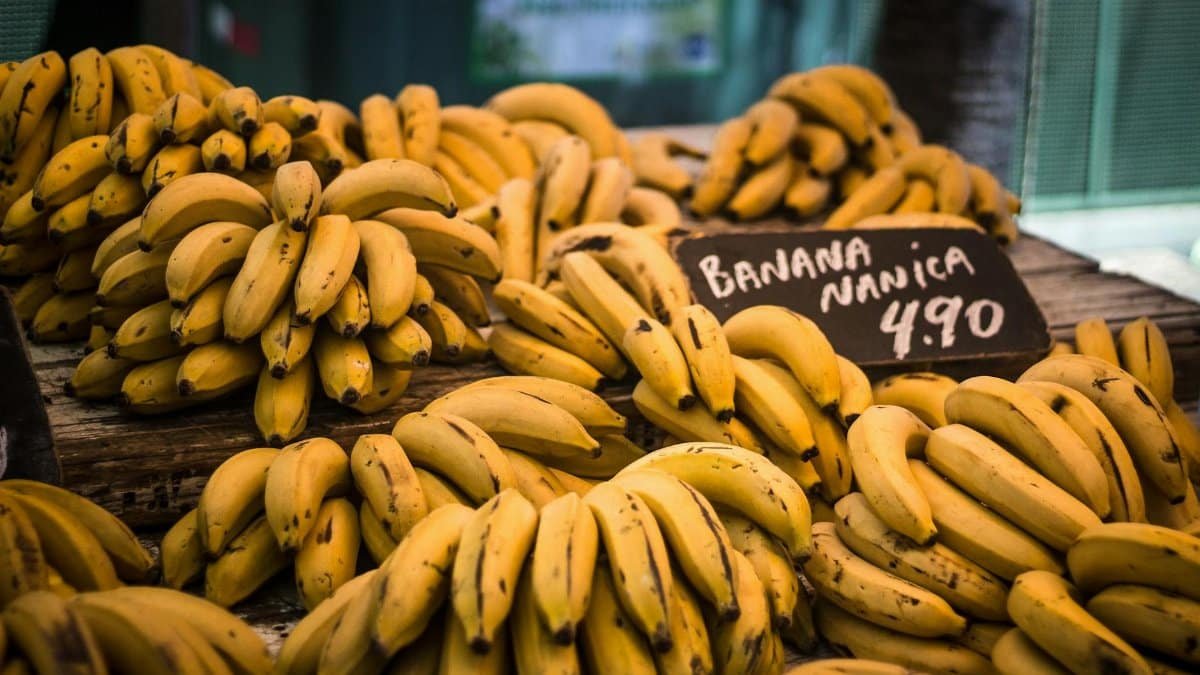 A vibrant display of fresh Nanica bananas at a local market, priced at 4.90.