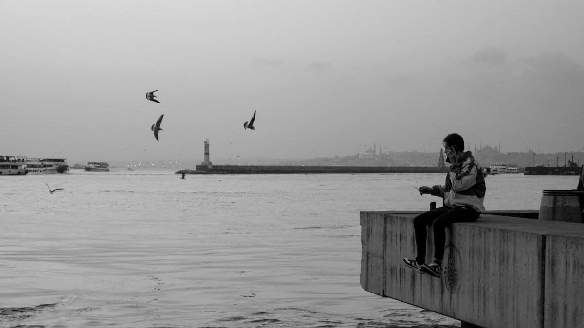 A person sits on the dock by the sea, surrounded by birds, with a city and lighthouse in the distance.