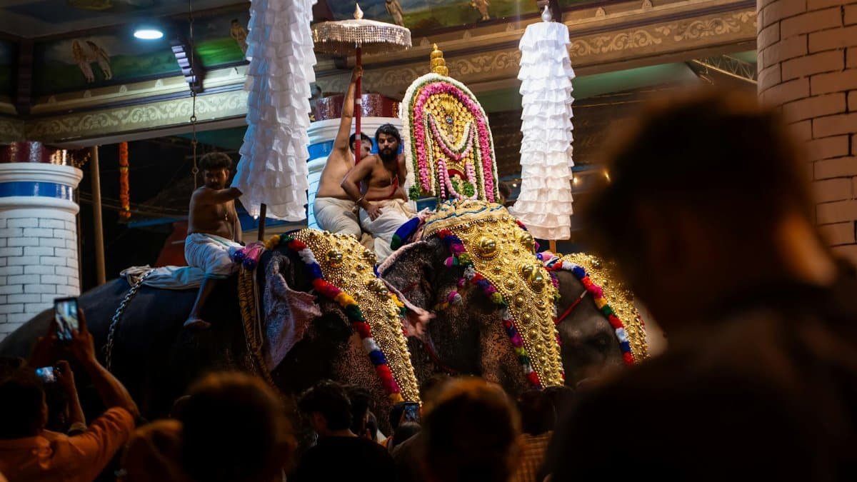 Free stock photo of celebration, ceremony, colorful