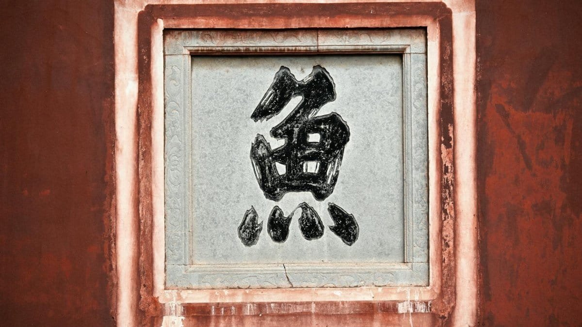 A traditional Chinese character, 'Fish', beautifully framed on a rustic red wall, showcasing cultural artistry.