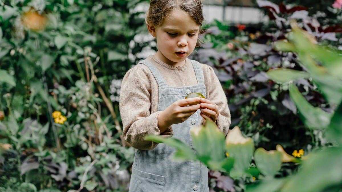 A young girl enjoys exploring fresh foliage in a lush garden setting, highlighting the beauty of nature.