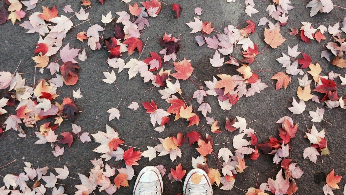 Scattered autumn leaves on pavement with white sneakers in Portland, Oregon.