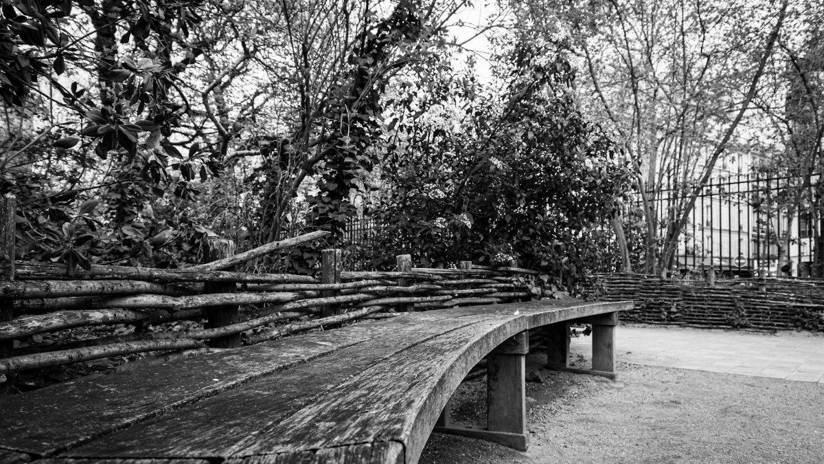 A quiet urban park with an empty curved wooden bench and trees.