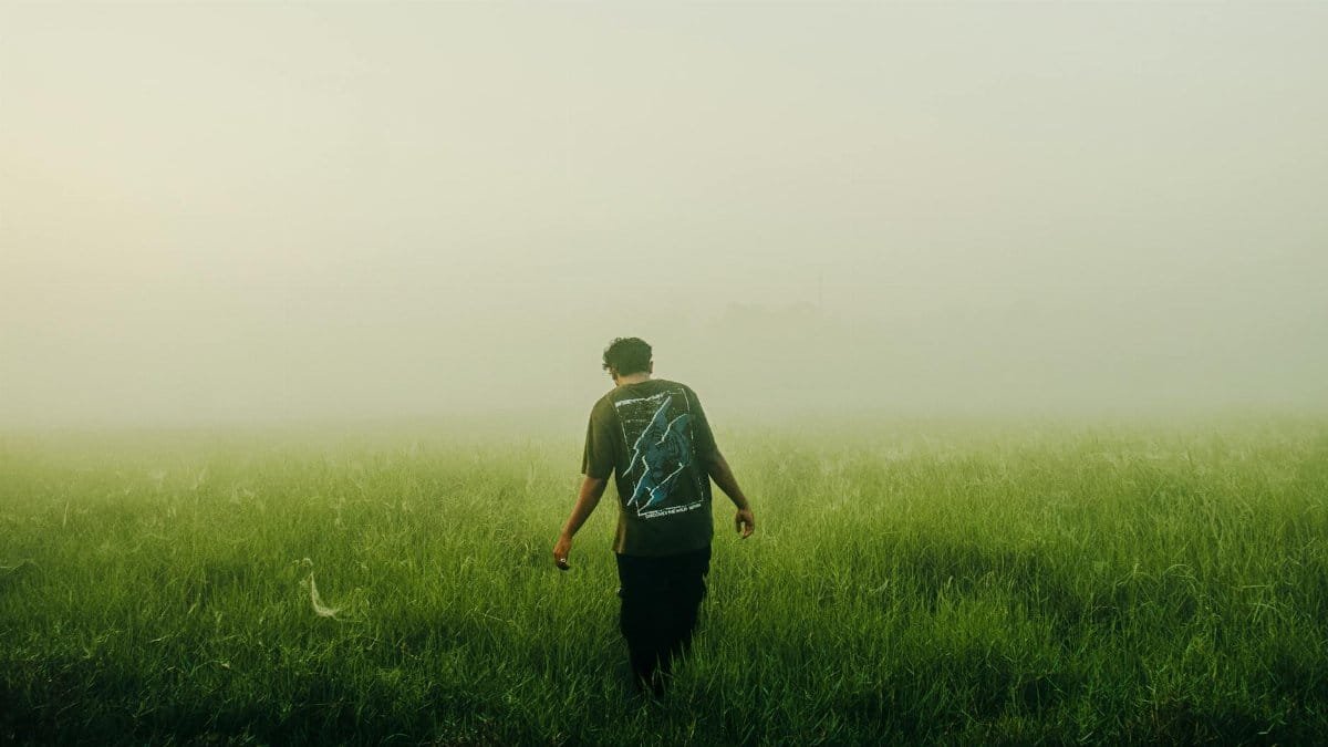 A lone man walks through a lush green field shrouded in morning fog, creating a serene rural scene.