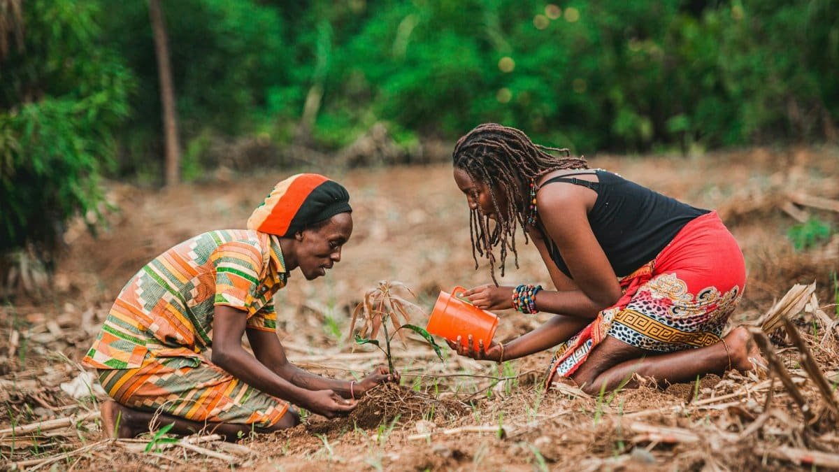Two African women kneeling and planting in a rural setting, foster agriculture and growth.
