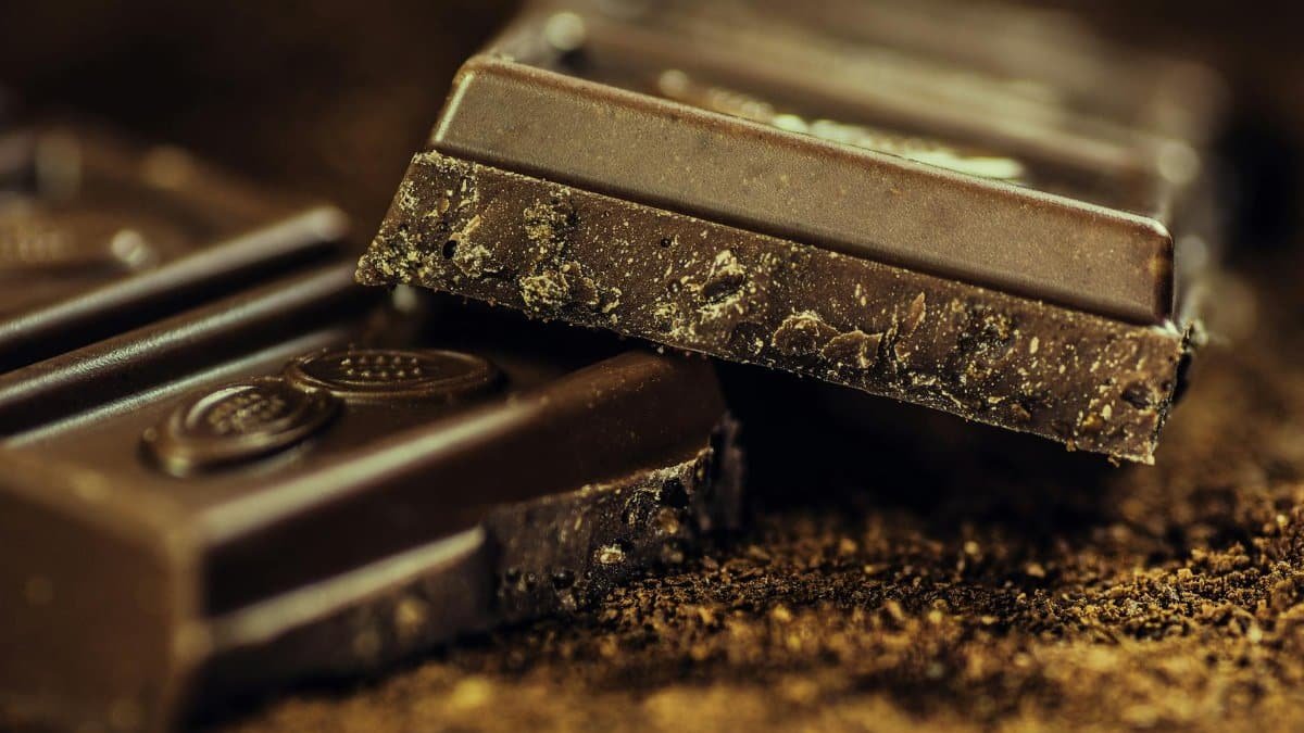 Macro shot of rich dark chocolate bars sprinkled with cocoa powder, highlighting texture and indulgence.