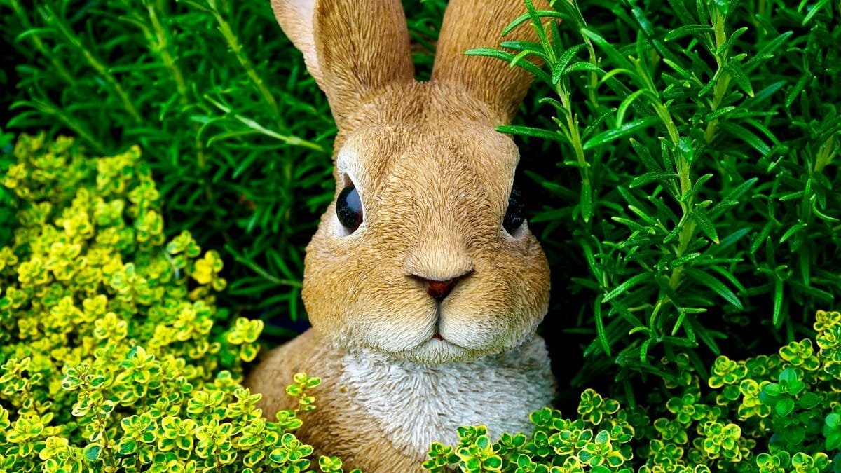 Adorable brown rabbit nestled among vibrant green plants, showcasing nature's beauty.