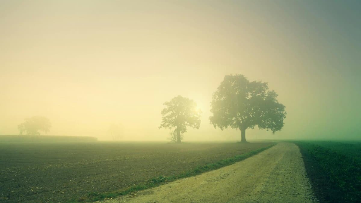 A tranquil countryside scene with a foggy sunrise over a dirt road and trees.