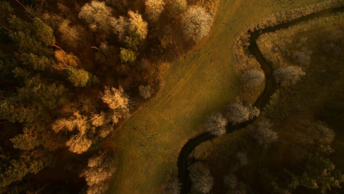 Aerial view of a winding river amidst autumn foliage in Skórka, Poland.