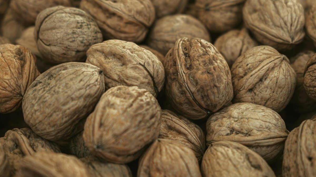 A detailed close-up of walnuts showcasing natural textures and colors, emphasizing their nutritious value.