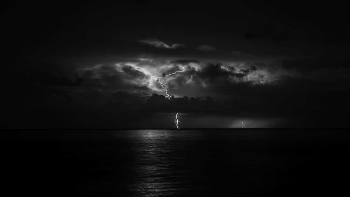 6. Ashwagandha: Adaptogenic Power