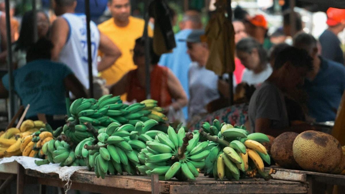 A vibrant outdoor market in Espírito Santo, Brasil featuring fresh green bananas and a bustling crowd.