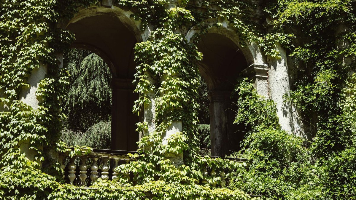 A scenic view of a historic archway covered in lush green climbing plants during summer.