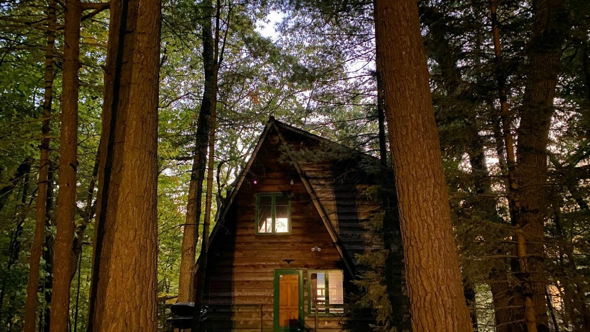 Charming A-frame cabin surrounded by dense forest in Allegan, Michigan during twilight.