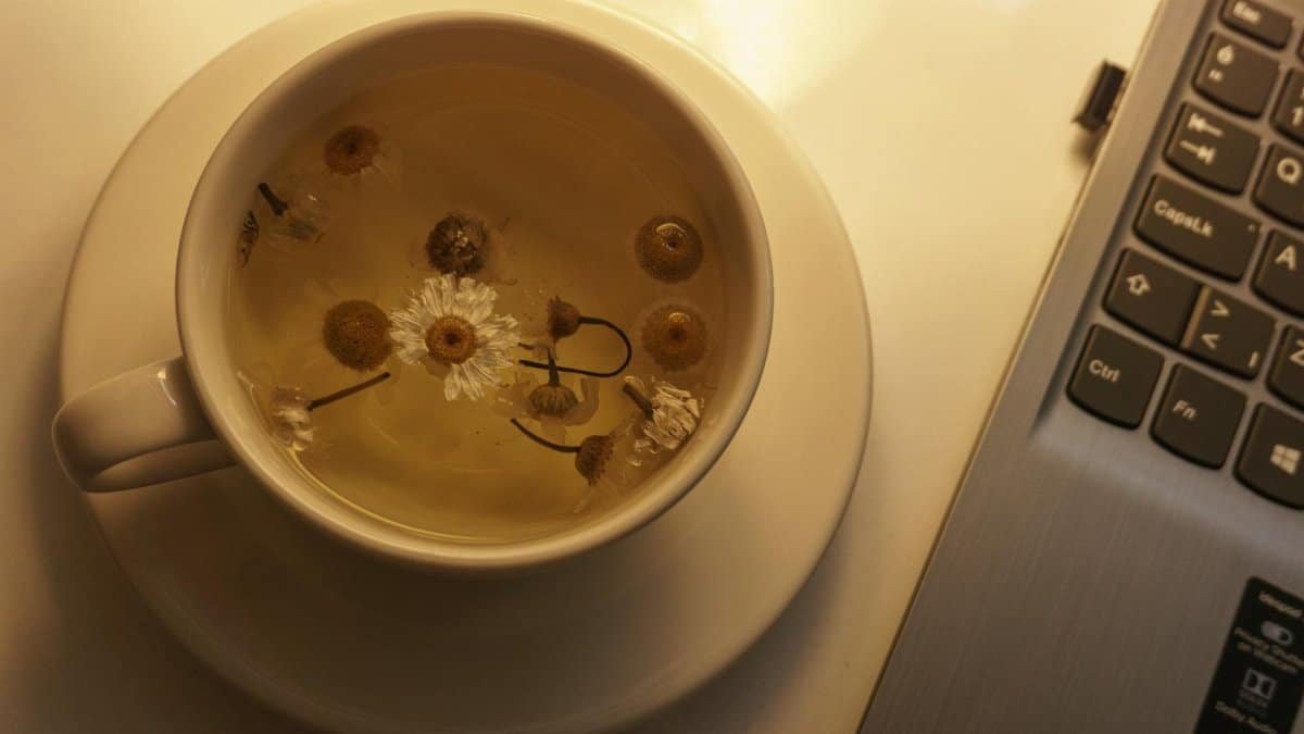 A soothing cup of chamomile tea next to a laptop, perfect for relaxation or work breaks.