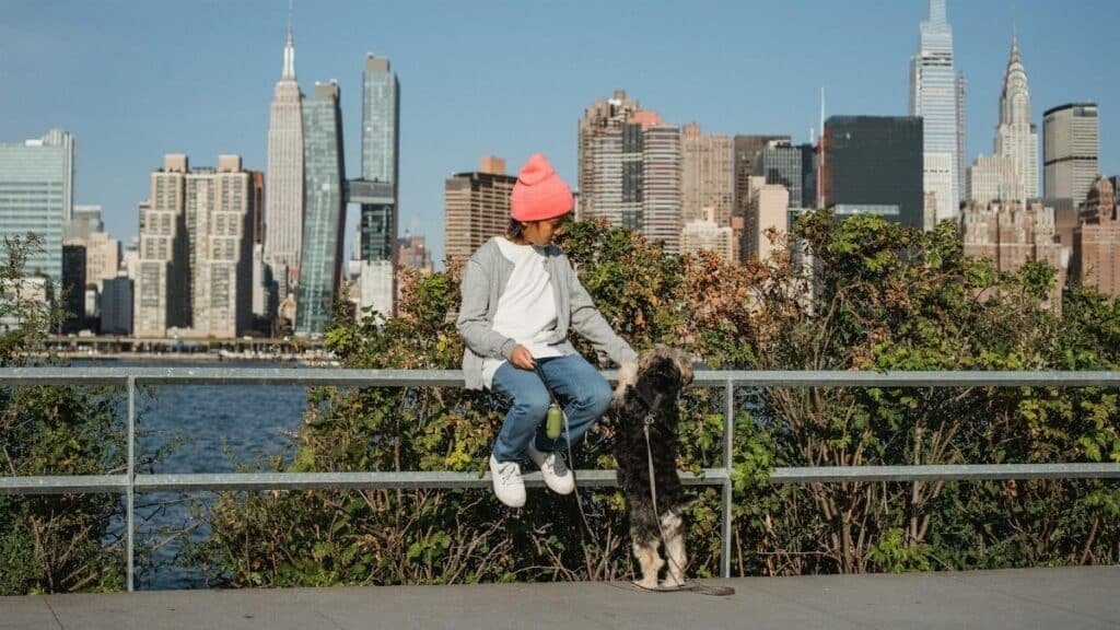 A young boy with a dog enjoys a sunny day by the New York City skyline.