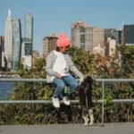 A young boy with a dog enjoys a sunny day by the New York City skyline.