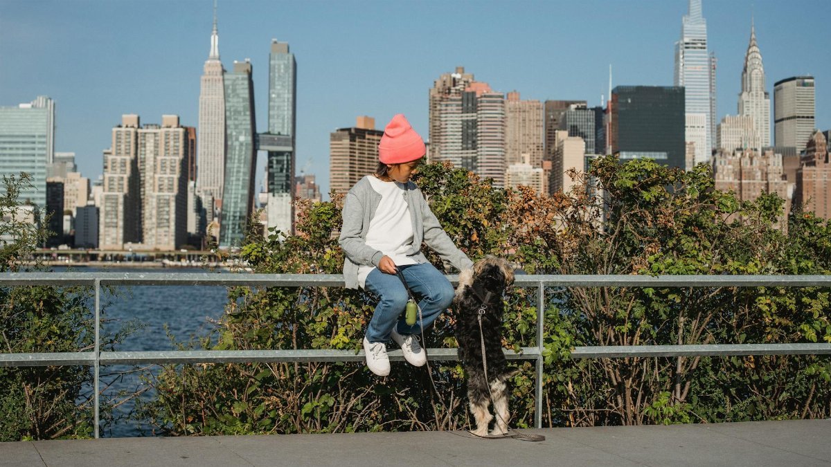 A young boy with a dog enjoys a sunny day by the New York City skyline.