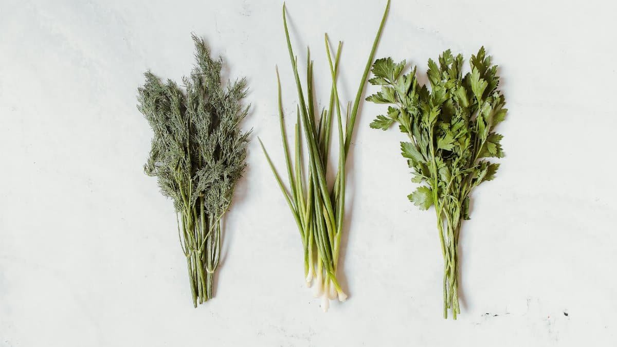 Assorted fresh herbs including dill, chives, and parsley on a white background.