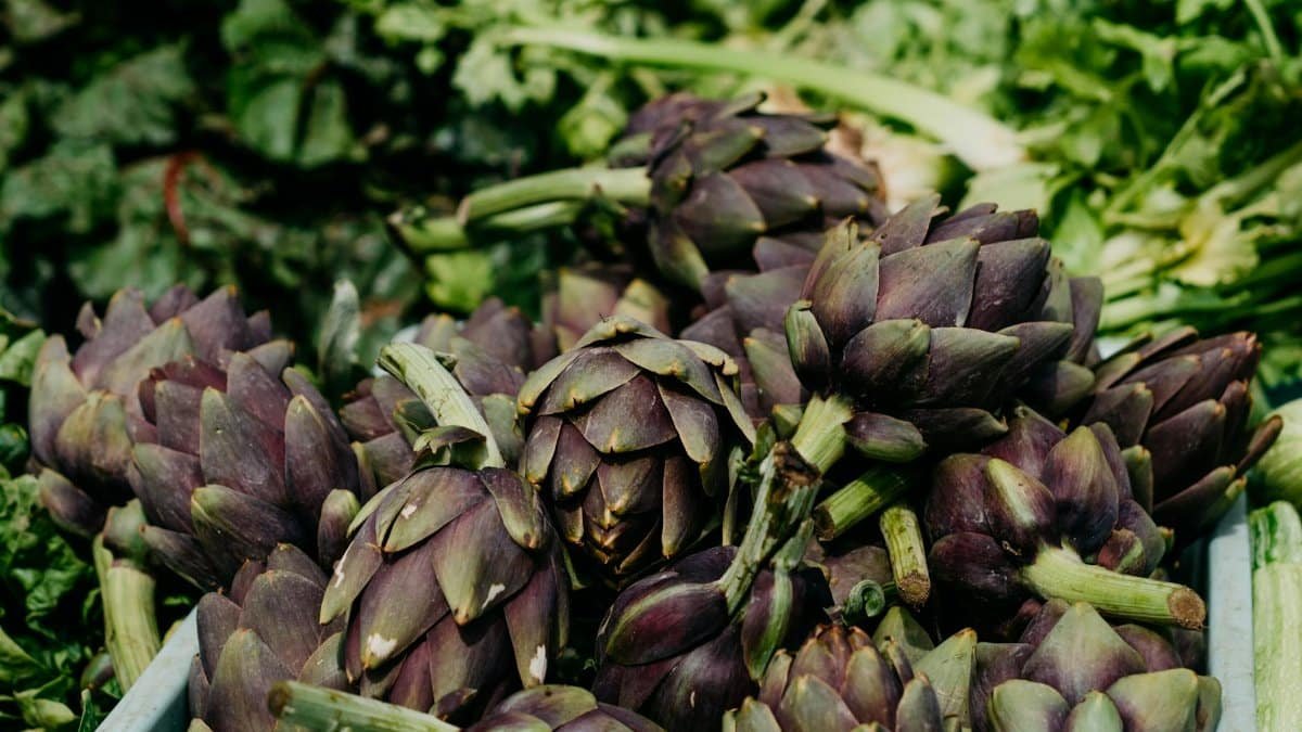 Fresh organic artichokes displayed at a farmers market, vibrant and healthy.