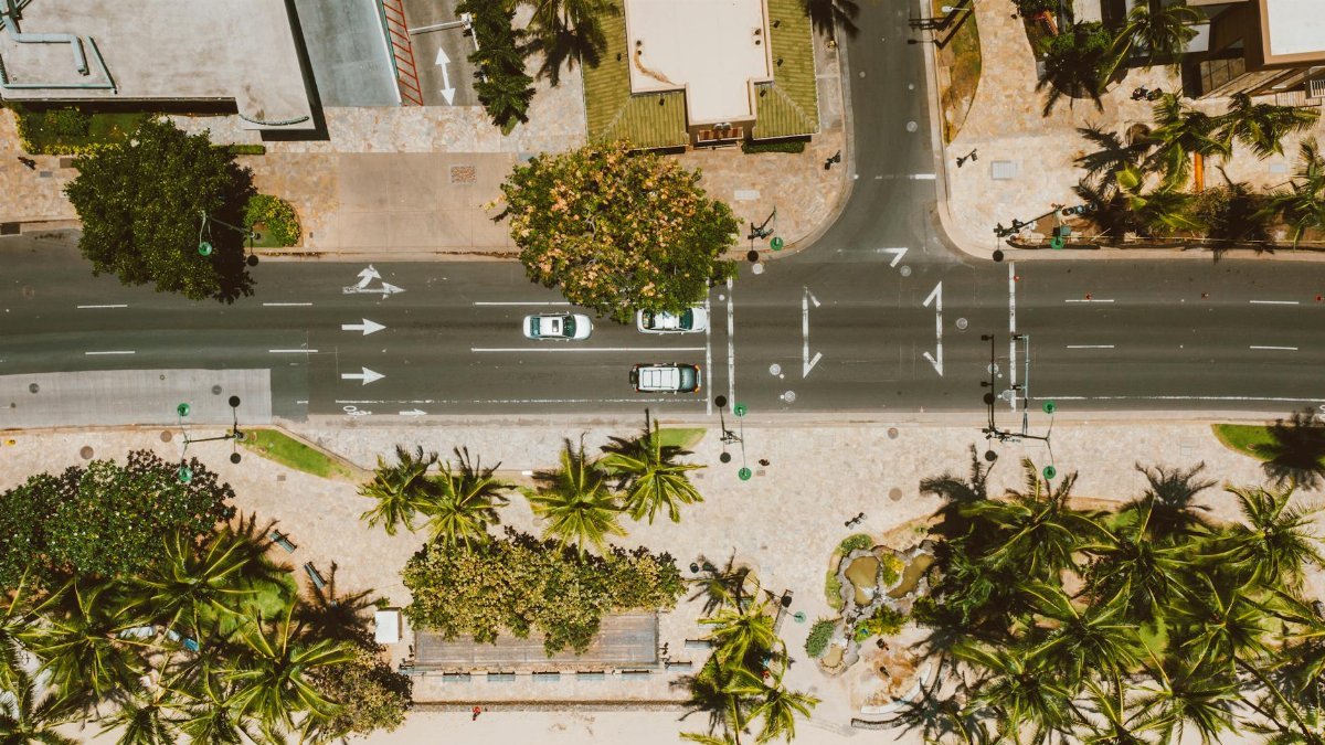 Aerial shot of a crossroad in Hawaii lined with palm trees, showcasing urban and coastal elements.