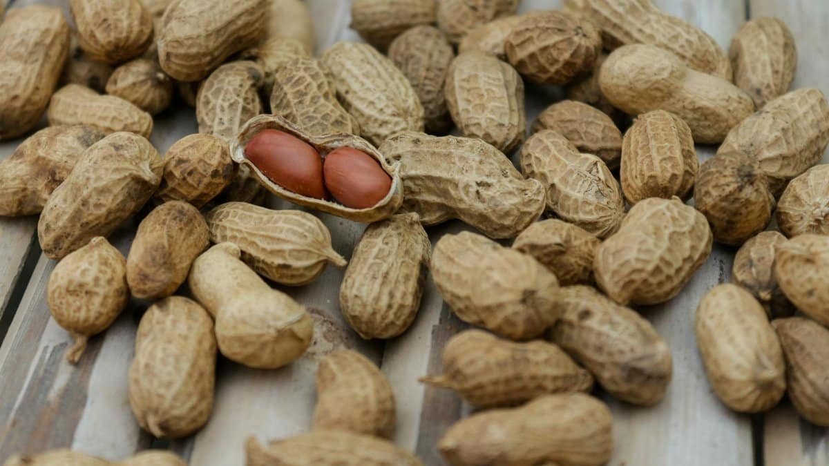 A detailed close-up of peanuts in their shells scattered on a wooden surface.