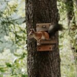 A squirrel perched on a tree with lush greenery in the background, ideal for wildlife photography.