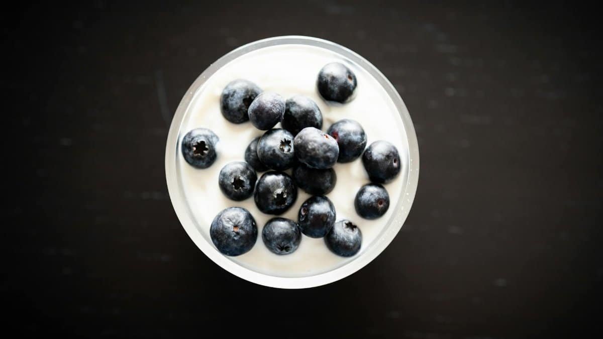 Top view of creamy yogurt with fresh blueberries in a glass bowl on a dark background.