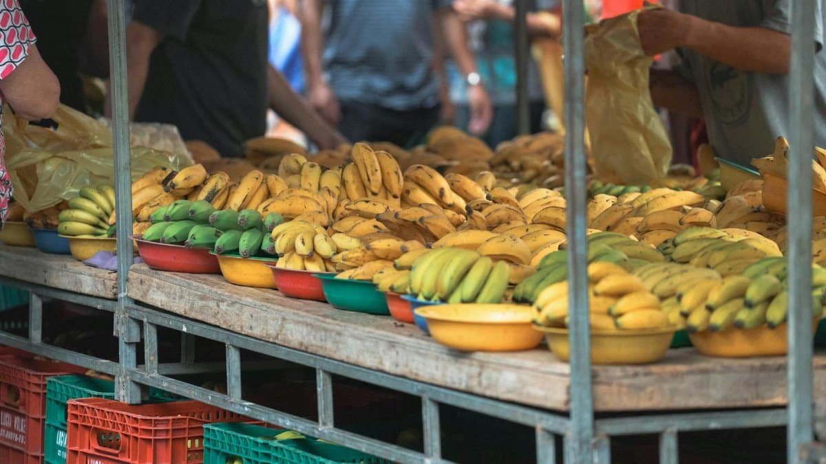 Vibrant display of bananas at an outdoor market in Espírito Santo, Brazil.