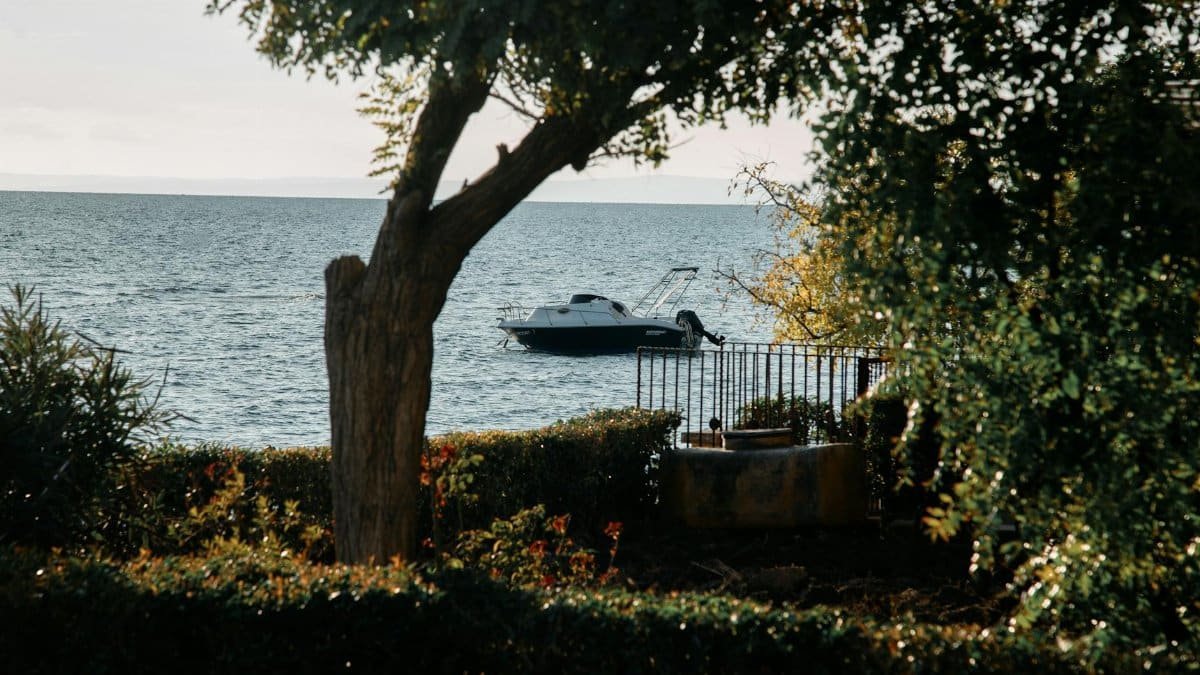 A tranquil lake view with a boat framed by lush greenery, showcasing a peaceful outdoor setting.