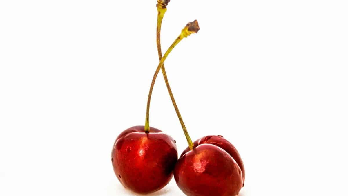 Close-up shot of two ripe red cherries with water droplets on a white background.